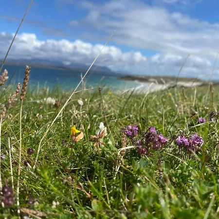 Flaherty Eco Ballyconneely