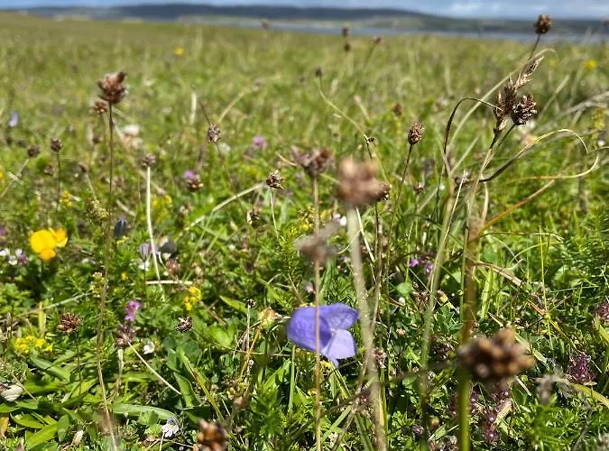 Ferienhaus Flaherty Eco Ballyconneely
