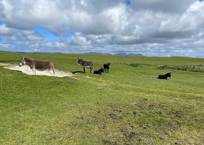 Flaherty Eco Дом отдыха Балликоннили