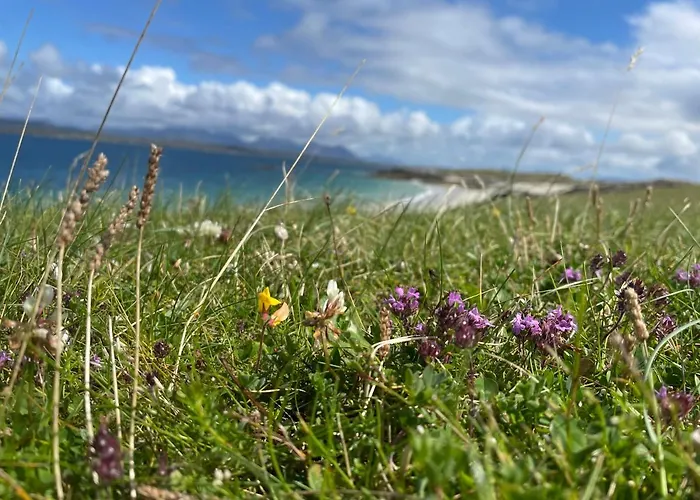 Flaherty Eco Ballyconneely