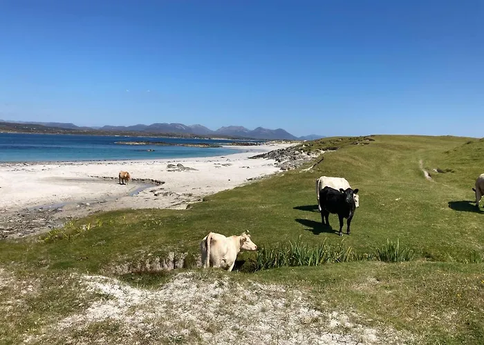 Flaherty Eco Дом отдыха