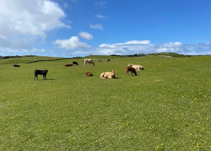 Flaherty Eco Дом отдыха